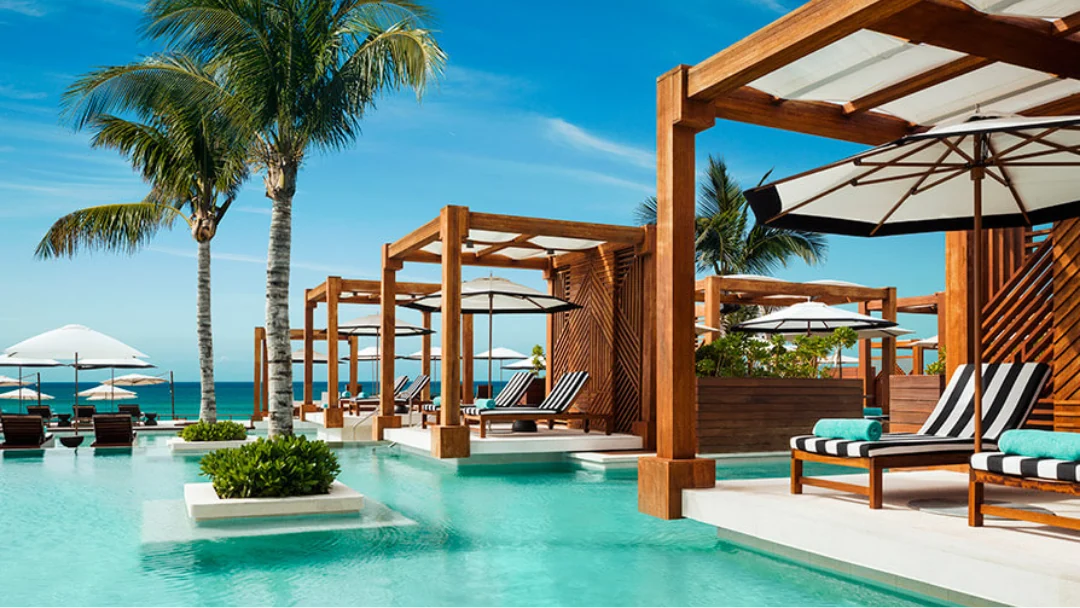A resort prize from the Agave lineup